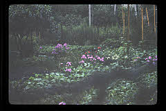 tanSF.B04-08_19()