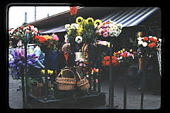 tanSF.B04-08_29()