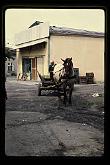 tanSF.B04-08_36()