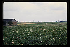 tanSF.B04-09_08()