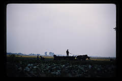 tanSF.B04-09_29()