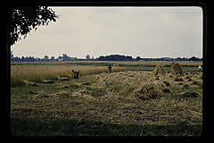 tanSF.B04-13_15()