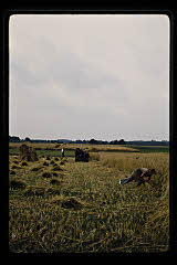 tanSF.B04-13_16()
