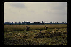 tanSF.B04-13_17()