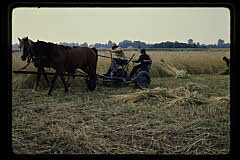tanSF.B04-13_20()