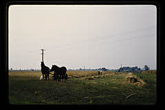 tanSF.B04-13_22()