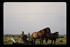tanSF.B04-13_23()
