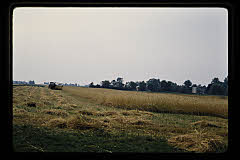 tanSF.B04-13_24()