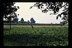 tanSF.B04-13_25()