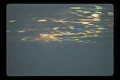 tanSF.B05-01_32()