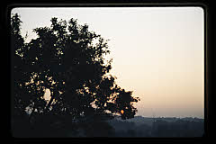 tanSF.B05-06_34()