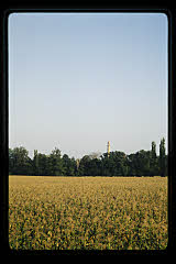 tanSF.B05-11_17()