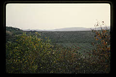tanSF.B05-11_23()