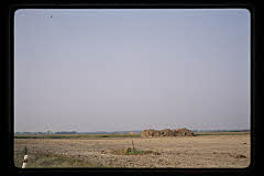 tanSF.B05-15_01()
