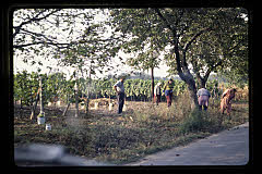 tanSF.B05-15_08()
