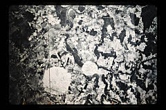 tanSF.B05-23_04()