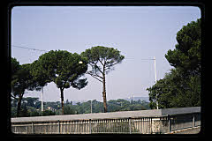 tanSF.B06-18_33()