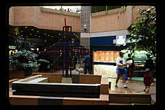 tanSF.B06-25_01()