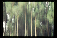 tanSF.B07-02_01()