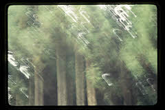 tanSF.B07-02_02()