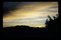 tanSF.B07-02_11()