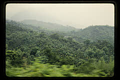 tanSF.B07-02_28()