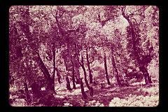 tanSF.B07-10_14()