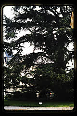 tanSF.B08-05_19()