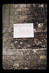 tanSF.B08-10_36()