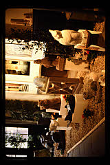 tanSF.B09-04_32()