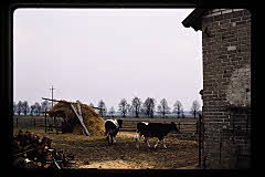 tanSF.B09-07_30()