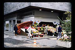 tanSF.B09-14_31()