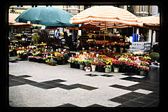 tanSF.B09-15_06()