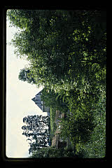 tanSF.B10-06_19()