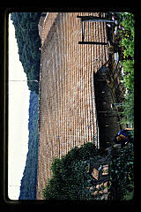 tanSF.B10-07_13()