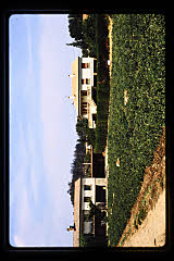 tanSF.B10-12_07()