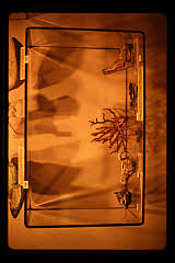 tanSF.B10-20_08()