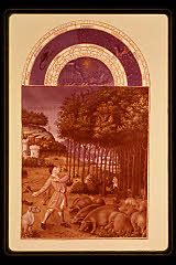 tanSF.B11-22_03()