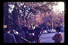 tanSF.C01-06_13()