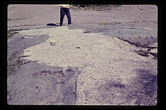 tanSF.C02-04_25()