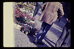 tanSF.C02-06_01()