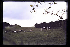 tanSF.C02-08_33()