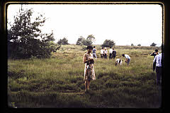 tanSF.C02-13_04()