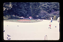 tanSF.C03-02_10()