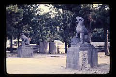 tanSF.C03-10_29()