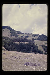 tanSF.C03-12_09()