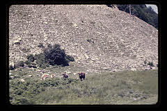 tanSF.C03-12_10()