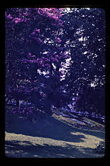 tanSF.C03-15_04()