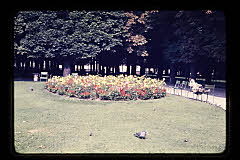 tanSF.C03-16_09()