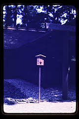 tanSF.C03-17_11()